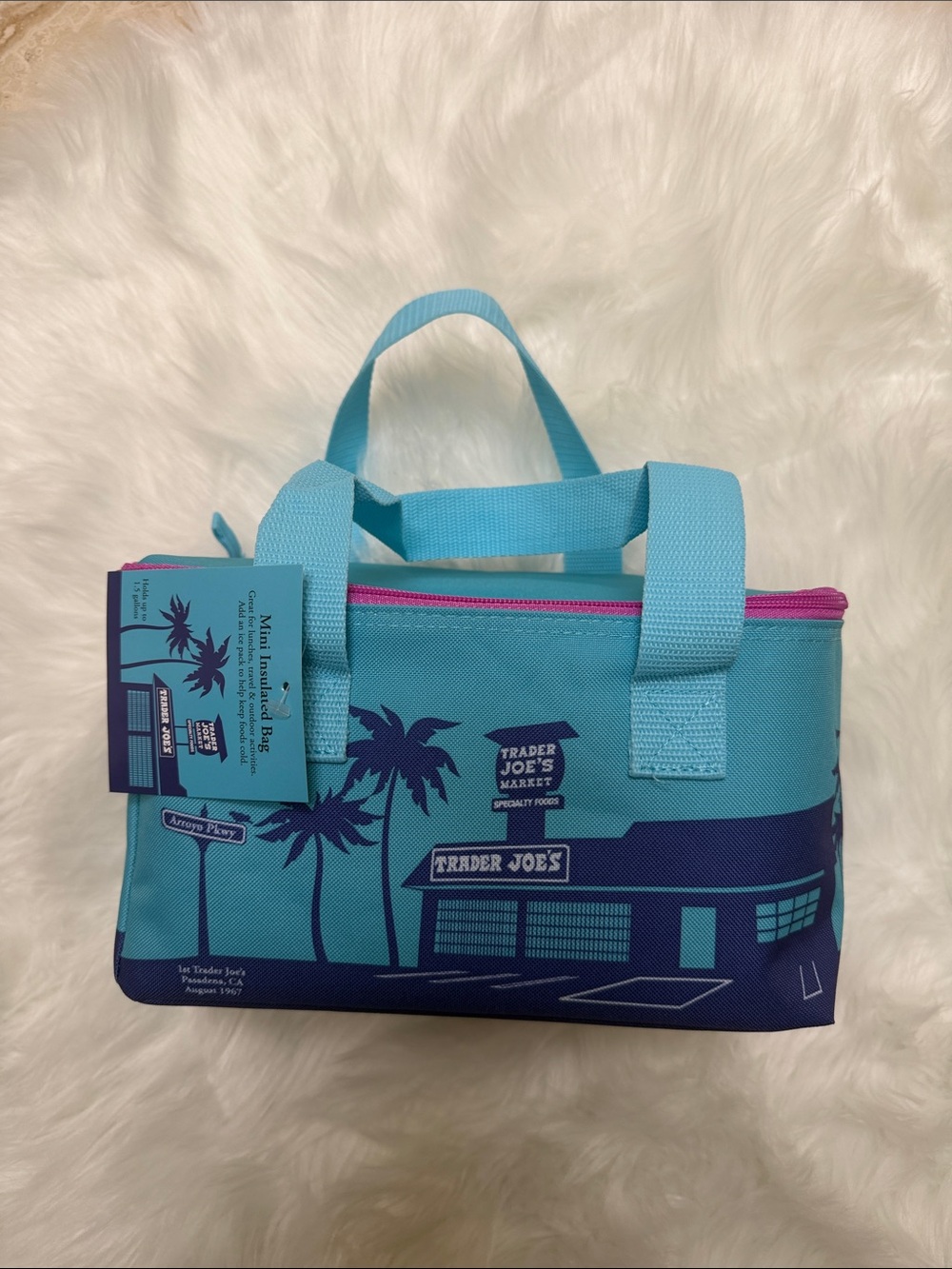 NWT Traders Joes Insulated Cooler Bag